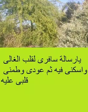 Screenshot 18 for رسائل صور حب شوق عشق عتاب لوم