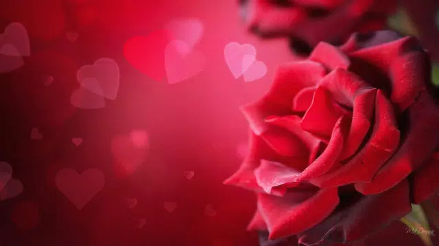 Screenshot 17 for رسائل صور حب شوق عشق عتاب لوم
