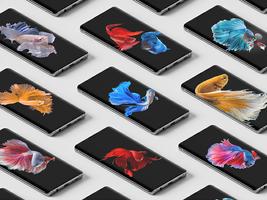 Betta Fish HD Wallpaper Screenshot 2