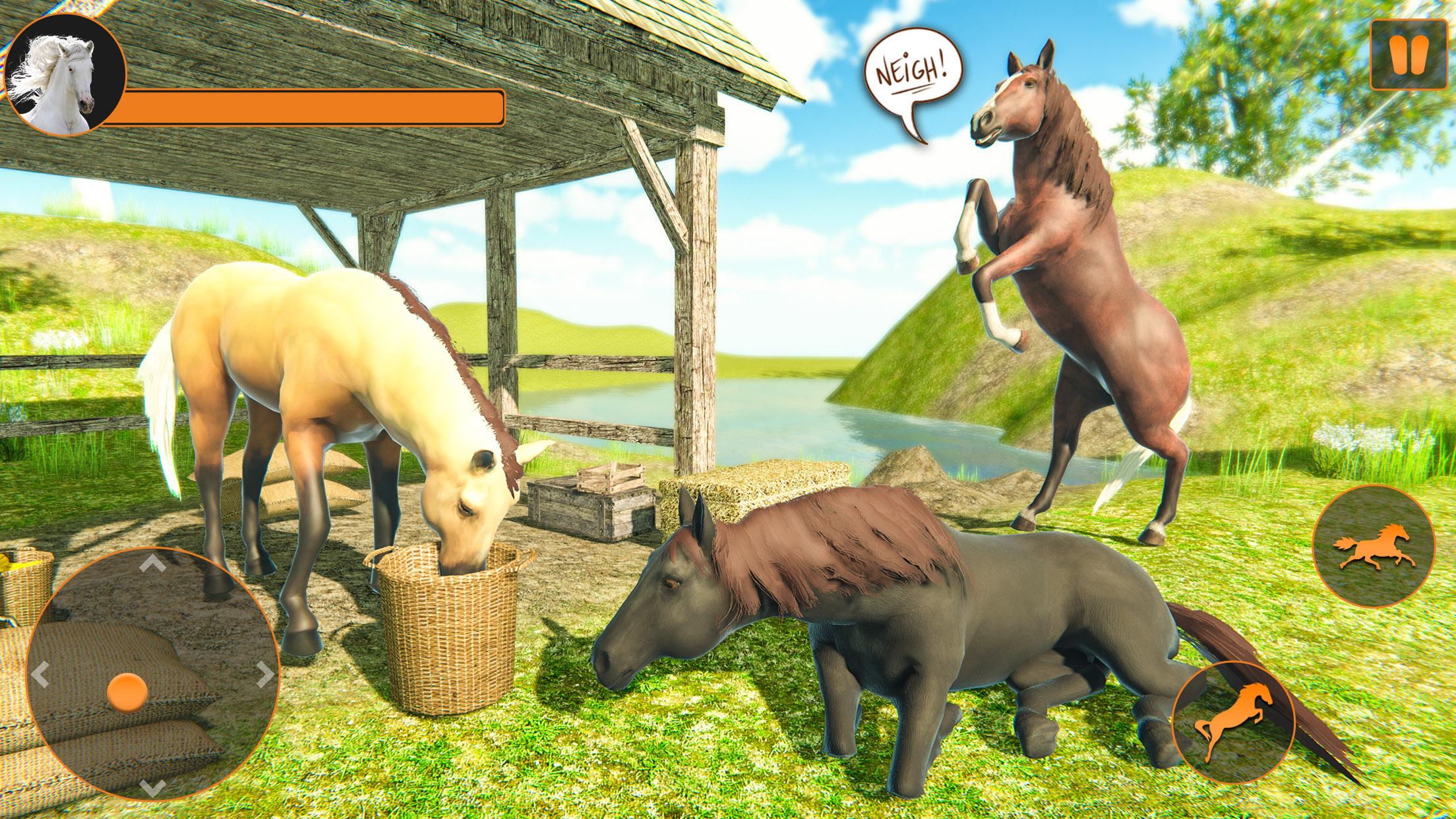 Сюжет игры my Horse Price