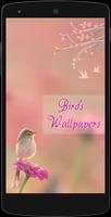 Bird Wallpapers HD Affiche