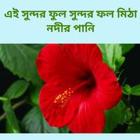 বাছাই করা গজল অডিও offline screenshot 1