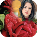 APK Rose Photo Frame Editor App