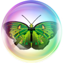 Пузыри с бабочками-APK