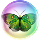 Пузыри с бабочками icône