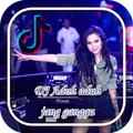 DJ Jangan Ganggu Viral Tiktok