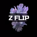 Z Flip Theme Kit
