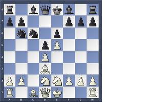 shiba chess Cartaz