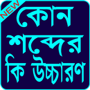 কোন শব্দের কী উচ্চারণ/Word Meaning APK