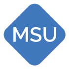 Mobile Security User ícone