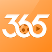 365 sports