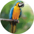 Flyte