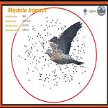 STC - Shotgun Ballistics