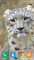 Snow leopard Wallpapers 스크린샷 3