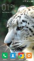 Snow leopard Wallpapers 포스터
