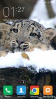 Snow leopard Wallpapers 스크린샷 2