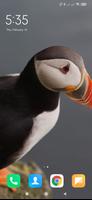 Puffin Wallpapers 포스터