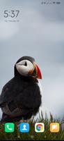 Puffin Wallpapers 截图 3