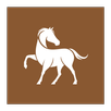 sayblake APK