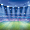 Stadium Wallpaper 4K APK