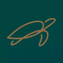 DY Staff XAPK download