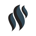 Carson Consulting