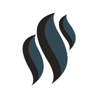 Carson Consulting Zeichen