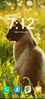 4 Seasons for Cats Wallpapers screenshot 1