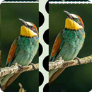Image difference Find APK