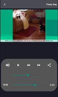 Funny Cat & Dog videos Screenshot 3