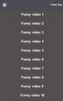 Funny Cat & Dog videos Screenshot 1