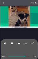 Funny Cat & Dog videos Screenshot 2