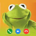Kermit Frog Video Call You