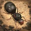 ”The Ants: Underground Kingdom