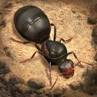 The Ants ikon