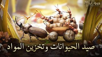 The Ants تصوير الشاشة 1