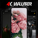 WallNova Pro: 4K HD Wallpapers APK