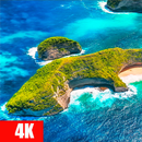 Dronescapes wallpapers APK