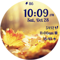 Autumn Magic