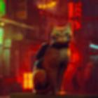 Guide for Stary Game Cat أيقونة