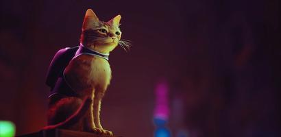 Guide for Stary Game Cat تصوير الشاشة 2