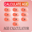 Age Calculator icon