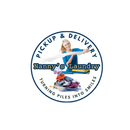 Nanny's Laundry APK