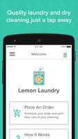 Lemon Laundry Affiche