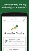Spring Dry Cleaning Affiche