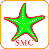 Starfish icône