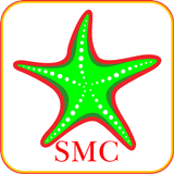 Starfish ikona