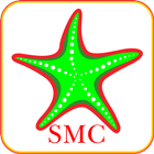 Starfish icono