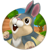 ikon Bunny Run