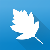 StarLeaf : messages, appels et